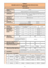 Vista preliminar de documento RESUMEN EJECUTIVO