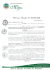 Vista preliminar de documento ORDENANZA