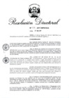 Vista preliminar de documento 02. RD 013-2017.pdf