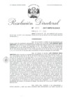 Vista preliminar de documento 02. 060517 RD 006-2017-INPE-18-234-D_Meza Simitson Luís Enrique.pdf