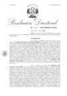 Vista preliminar de documento 03. 070417 RD 006-2017-INPE-21-704-D_Salazar Villalobos Roberto Dino.pdf