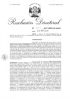 Vista preliminar de documento 11. 050517 RD 005-2017-INPE-18-234-D_Araoz Eguisquiza Sonia Ruth.pdf