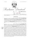 Vista preliminar de documento 17. 091217 RD 005-2017-INPE-18-221-D_Meza Simitson Luís Enrique.pdf