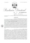 Vista preliminar de documento 08. 070617 RD 004-2017-INPE-20-412-D_Rojas Janampa Karen Tatiana.pdf