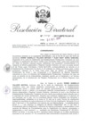 Vista preliminar de documento 12. 103117 RD 004-2017-INPE-18-241-D_Talledo Matzza Edwin Gianello y otro.pdf