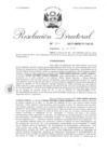 Vista preliminar de documento 13. 101017 RD 004-2017-INPE-17-141-D_Llauce Chafio Jairo Mario Martin y otro.pdf