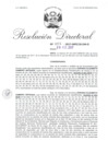 Vista preliminar de documento 07. 082817 RD 003-2017-INPE-18-244-D_Gamero Arteaga Zoraida Elizabeth.pdf