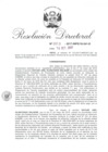 Vista preliminar de documento 09. 101617 RD 003-2017-INPE-18-241-D_Olascuaga Salazar Dayler Joel.pdf