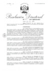 Vista preliminar de documento 08. 072417 RD 002-2017-INPE-24-803_Mamani Vilca Agapito.pdf