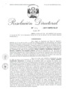 Vista preliminar de documento 06. 071817 RD 001-2017-INPE-18.07_ Rodriguez Arzapalo Cesar Alberto y otro.pdf