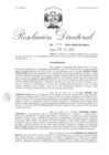 Vista preliminar de documento 07. 062817 RD 001-20147-INPE-18-244-D_Camacho Quilla Miriam Eva y otro.pdf