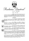 Vista preliminar de documento 13. R.D. N° 001-2017-INPE_15.pdf