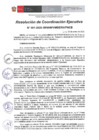 Vista preliminar de documento 55b48d_RCE001-2020Paracolgar.pdf