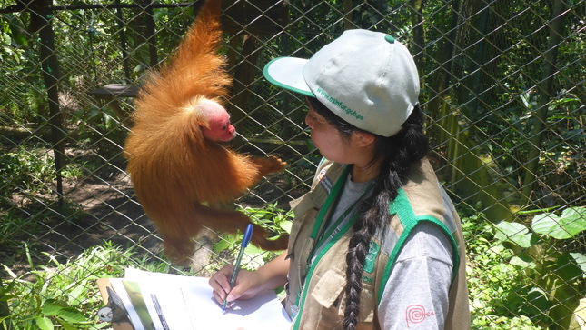 Usuarios del bosque de Amazonas y San Martín fueron capacitados por el OSINFOR sobre el proceso de supervisión de fauna silvestre.