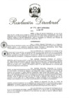 Vista preliminar de documento RD 141-2017.pdf