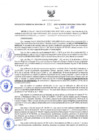 Vista preliminar de documento RES N°184-2022-GRDS