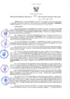 Vista preliminar de documento RES N°185-2022-GRDS