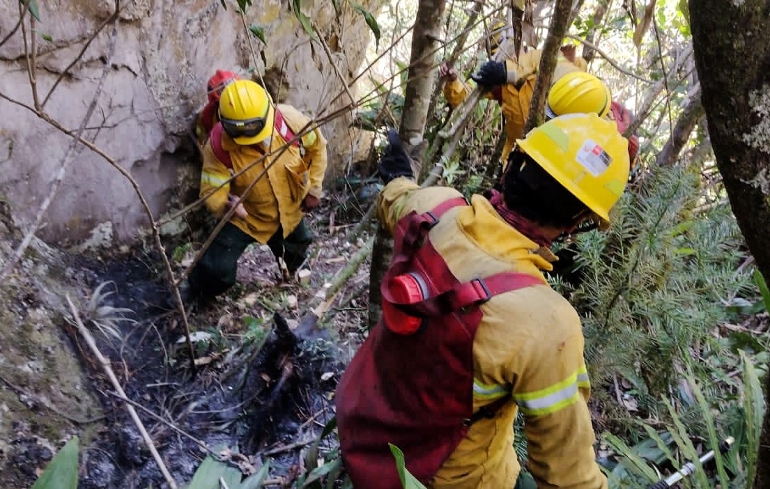 Ministerio de Cultura: Incendio forestal en Cusco no afecta a la llaqta o Ciudad Inka de Machupicchu