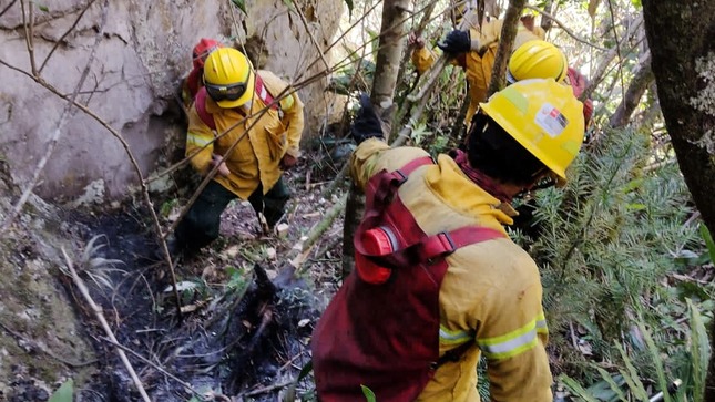Ministerio de Cultura: Incendio forestal en Cusco no afecta a la llaqta o Ciudad Inka de Machupicchu 