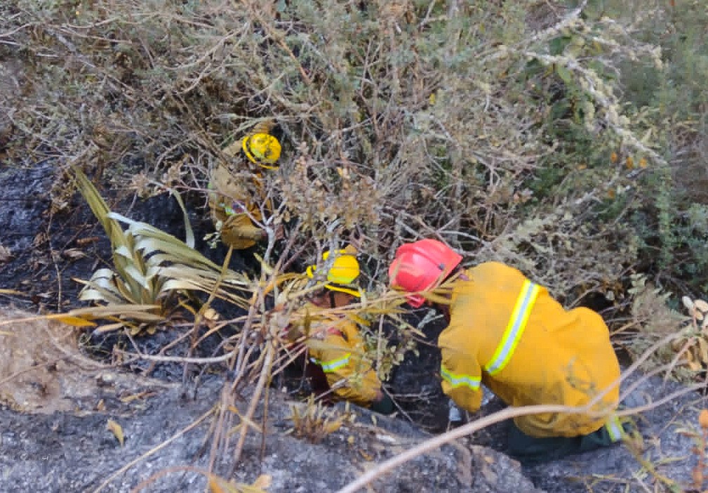 Ministerio de Cultura: Incendio forestal en Cusco no afecta a la llaqta o Ciudad Inka de Machupicchu 