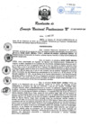 Vista preliminar de documento RCNP 017-2017.pdf