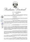 Vista preliminar de documento 07. RD 125-2017.pdf