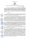 Vista preliminar de documento RGRI N° 060-2022