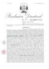 Vista preliminar de documento 09. 071917 RD 119-2017-INPE-17-131-D_Davila Tello Darwin y otros.pdf