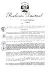 Vista preliminar de documento 10. RD 119-2017.pdf