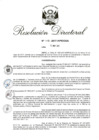 Vista preliminar de documento 13. RD 118-2017.pdf