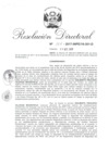 Vista preliminar de documento 101117 RD 137-2017-INPE-19-301-D_Villegas Mogrovejo Edilberto Procopio.pdf