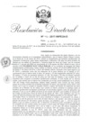 Vista preliminar de documento 14. 060117 RD 112-2017-INPE-24-D_Coila Ruelas Fulgencio Eloy y otros.pdf