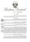 Vista preliminar de documento 18. RD 111-2017.pdf