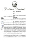 Vista preliminar de documento 02. RD 110-2017.pdf