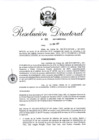 Vista preliminar de documento 06. RD 109-2017.pdf