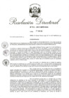 Vista preliminar de documento 01. RD 105-2017.pdf