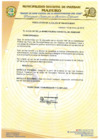 Vista preliminar de documento RESOLUCIÓN DE ALCALDÍA 009-2019-MDI/T