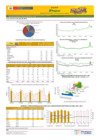 Vista preliminar de documento Boletín de volumen y precio de PAPA 01/07/22