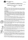 Vista preliminar de documento RA 801-2022.pdf