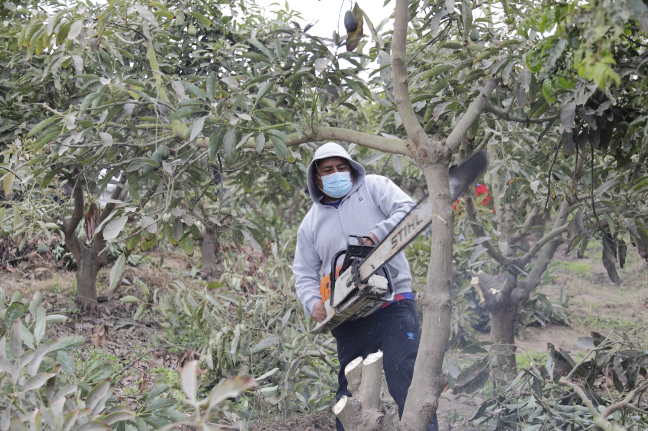 Ministerio de Cultura recupera pacíficamente terreno en la Zona Arqueológica de Caral