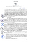 Vista preliminar de documento RGRI N° 061-2022 