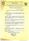 Vista preliminar de documento RESOLUCIÓN DE ALCALDÍA 082-2019-MDI/T