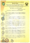 Vista preliminar de documento RESOLUCIÓN DE ALCALDÍA 061-2019-MDI/T
