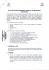 Vista preliminar de documento Acta Sesion Ordinaria Mensual de Seguridad Ciudadana  (mayo) - 30 de mayo del 2017.pdf
