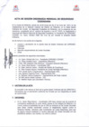 Vista preliminar de documento Acta Sesión Ordinaria Mensual de Seguridad Ciudadana  (junio) - 27 de junio del 2017.pdf