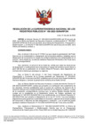 Vista preliminar de documento Resolución N° 100-2022-SUNARP-SN