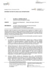 Vista preliminar de documento Resolución N° 100-2022-SN informe técnico N° 226-2022-SUNARP-OGRH