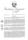 Vista preliminar de documento 15. RD 081-2017.pdf