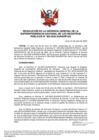 Vista preliminar de documento Resolución N° 205-2022-SUNARP-GG