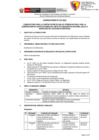 Vista preliminar de documento Convocatoria 031 